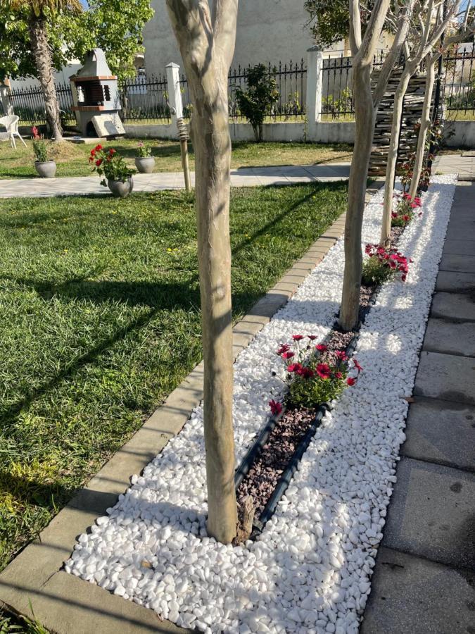 Nikiti Palataki Villa Kültér fotó
